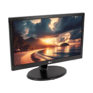 Monitor LG negro 19m38h led