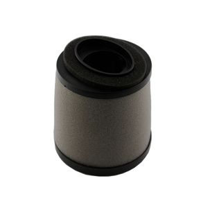 Filtro de aire Kimtec para bds thunder170 motfi59