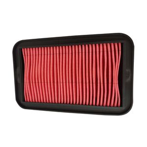 Filtro de aire Moto King para cargo 150cc fil-2600-0023