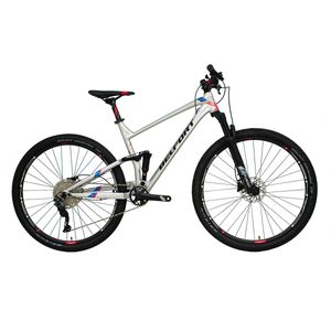 Bicicleta montaña Belfort r29 10v t19 Plata chaac comp b1 2025