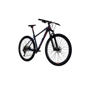 Bicicleta Belfort r29 t17 marino alom aerial 2024