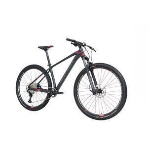 Bicicleta de montaña Belfort r29 t19 grafito zamna comp b1 2025