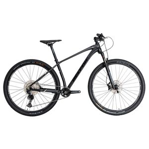 Bicicleta de montaña Belfort r29 t17 gris negro zamna reba 2025