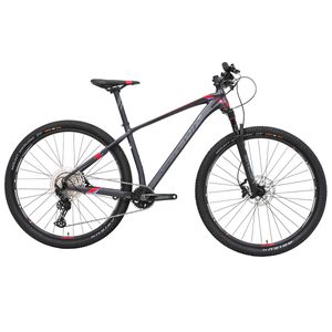 Bicicleta de montaña Belfort r29 t19 grafito belfort zamna reba 2025