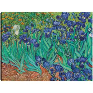 Cuadro decorativo Fine Art TJ 81 cm x 61 cm  c0500a000158802
