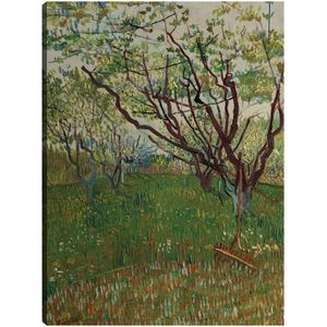 Cuadro decorativo Fine Art TJ 61 cm x 81 cm c0500a000142718