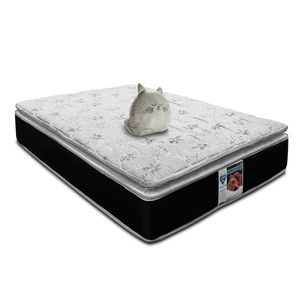 Colchón Spring air kunis + gatito