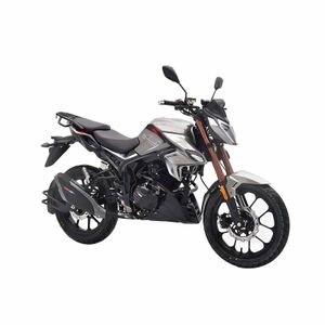 Motocicleta BDS street gris hawk 250 CC 2025
