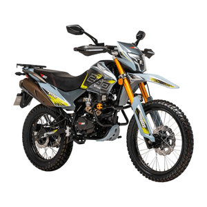 Motocicleta doble propósito BDS gris stark 250 CC 2025