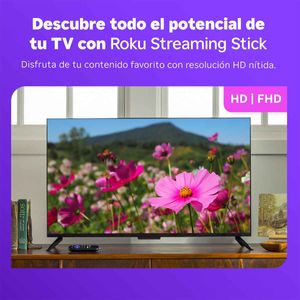 Streaming stick Roku hd negro rok3840mx