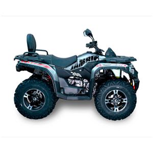 Cuatrimoto automática BDS gris jambo 300 CC 2026 - PREVENTA