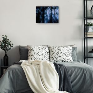 Cuadro decorativo Fine art tj 81 x 61 cm c0500a000147822