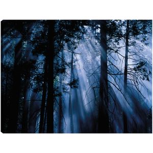 Cuadro decorativo Fine art tj 109 x 81 cm c0600a000147822