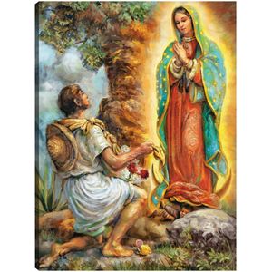 Cuadro decorativo Fine art tj 61 x 81 cm c0500a000152190