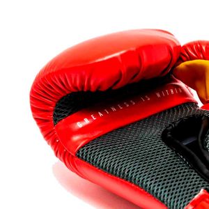 Guantes de box Everlast rojo XE2114