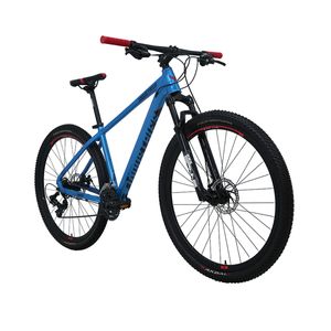 Bicicleta Industries 900 SL B1 R29 T19 Azul Cobalto