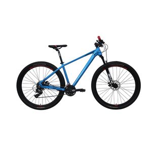 Bicicleta Industries 900 SL B1 R29 T19 Azul Cobalto