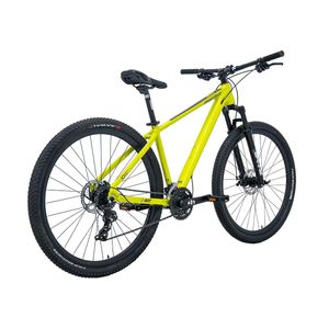 Bicicleta Industries 900 SL B1 R29 T19 Limon Gris