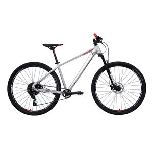 Bicicleta Industries 950 SL B1 R29 T17 Plata Rojo