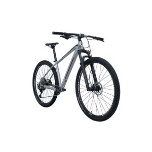 Bicicleta Belfort Alom Comp B2 R29 T17 Plata Negro