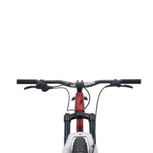 Bicicleta Belfort Zotz Sl B2 R29 T19 Rojo Negro