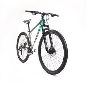Bicicleta de montaña Mercurio verde r29