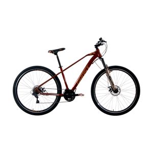 Bicicleta de montaña Ghost r29 cobre claw