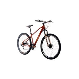 Bicicleta de montaña Ghost r29 cobre claw