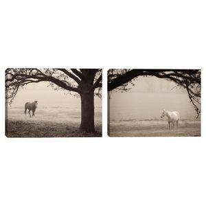 Cuadro decorativo Fine Art TJ 38cm x 51cm sc1800a000000008