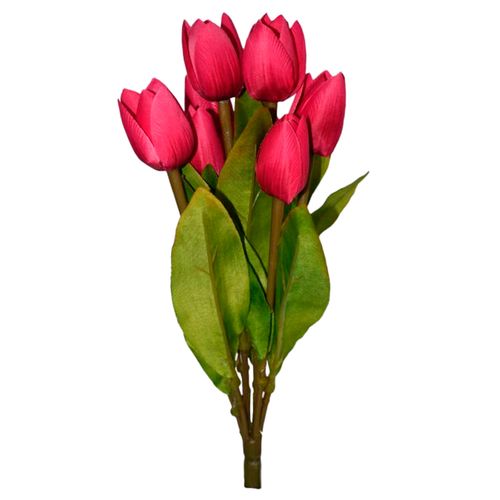 Flores Rosedal Tulipan x 9 Beauty D0005