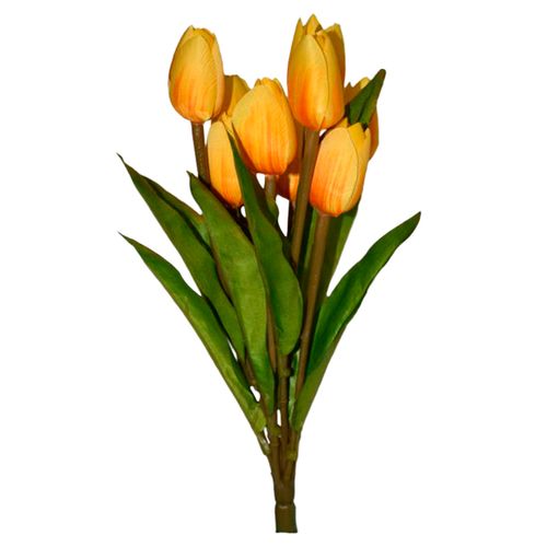 Flores Rosedal Tulipan x 9 Yellow D0005