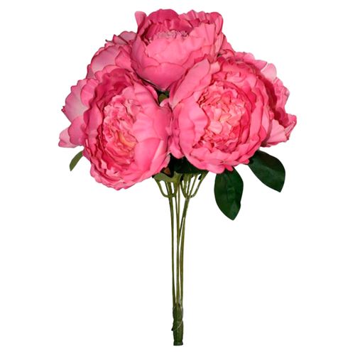 Flores Rosedal Peonia x 7 Beauty 9015