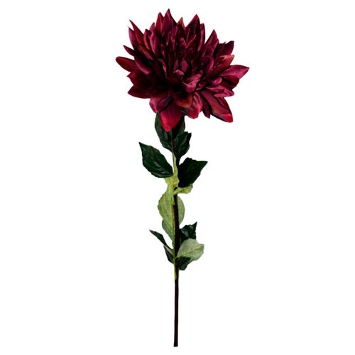 Flores Rosedal Dahlia Jumbo x 1 Burgundy A2706