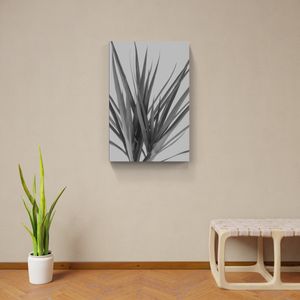 Cuadro decorativo Fine Art TJ 61cm x 91cm ncb0978