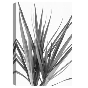 Cuadro decorativo Fine Art TJ 61cm x 91cm ncb0978