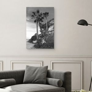 Cuadro decorativo Fine Art TJ 61cm x 91cm ncb2271