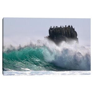 Cuadro decorativo Fine Art TJ 61cm x 91cm ncb2287