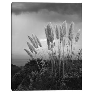Cuadro decorativo Fine Art TJ 56cm x 71cm ncf2515