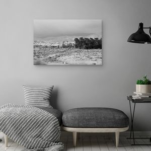 Cuadro decorativo Fine Art TJ 61cm x 91cm ncb2273