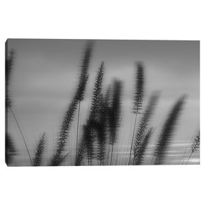 Cuadro decorativo Fine Art TJ 61cm x 91cm ncb2270