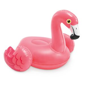 Juguetes acuáticos Intex multicolor 58590np
